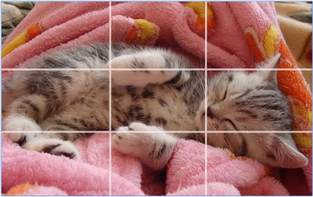 kucing - Puzzle