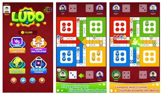 Ludo Family Dice Game